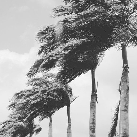 Meet your Posher, Kim - Picture 2 of 5